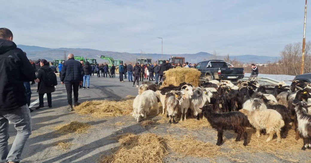 Протестиращите поведоха стадо кози за блокадата на АМ "Струма"
