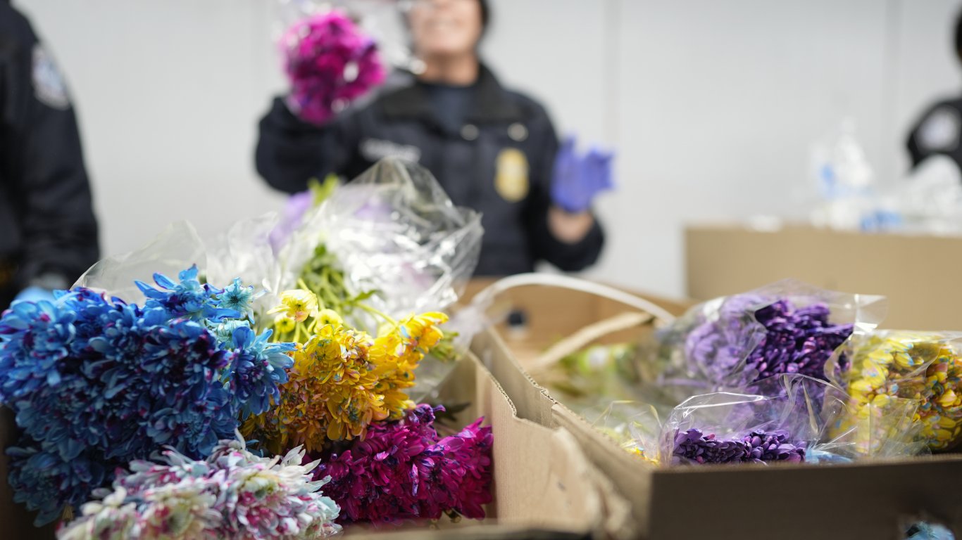 Цветна спирка Маями: 460 милиона цветя във въздуха за Свети Валентин 