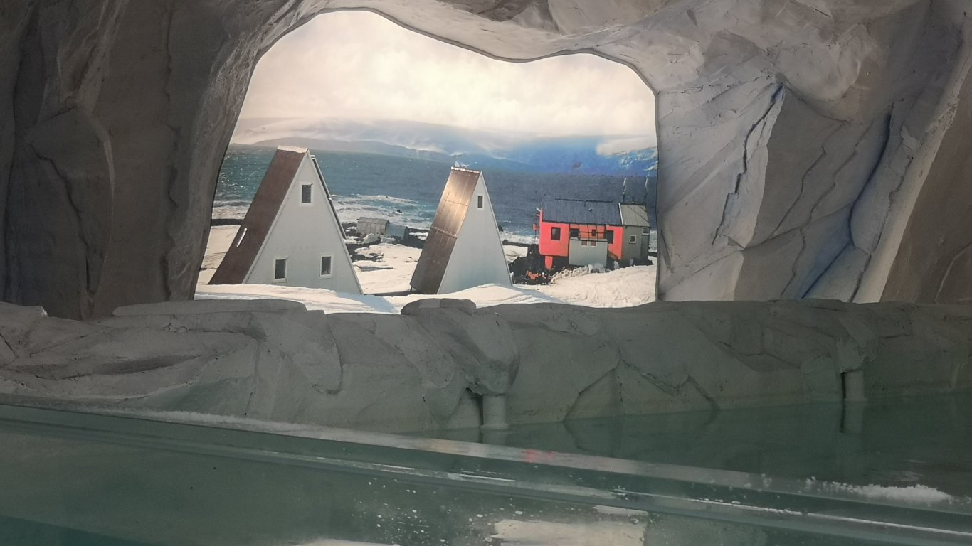 Два вида живи полярни риби от Антарктида ще станат част от експозиция "Полюси" в Природонаучния музей в Пловдив