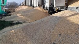 Неидентифицирани нападатели изхвърлиха160 тона украинска царевица от влак в Полша