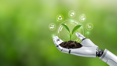 Автоматизирани системи за сортиране Захранвани с ИИ роботи и