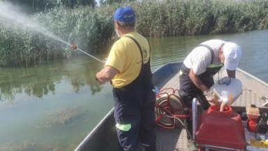 Започна пръскането срещу комари в Бургас