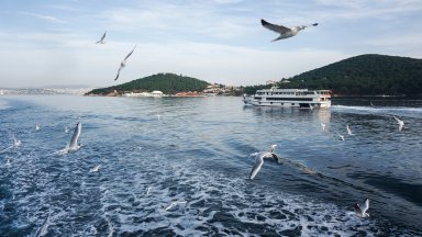 Дългоочакваната директна морска връзка между Бургас и Истанбул няма да