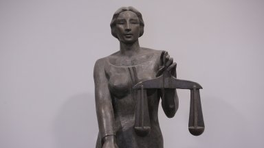 Специални комисии бяха създадени в парламента и към Съдийската колегия