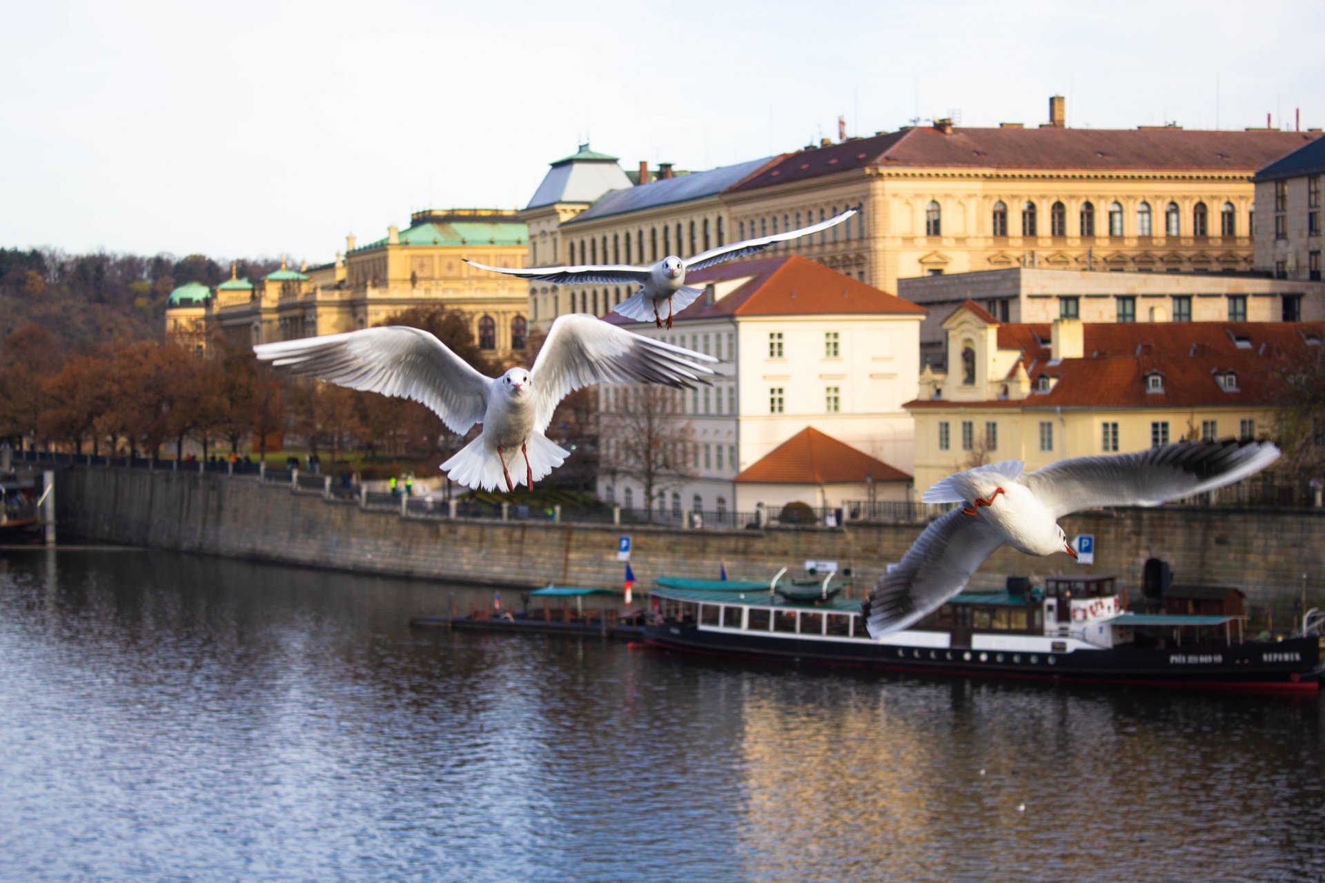 Прага, река Вълтава