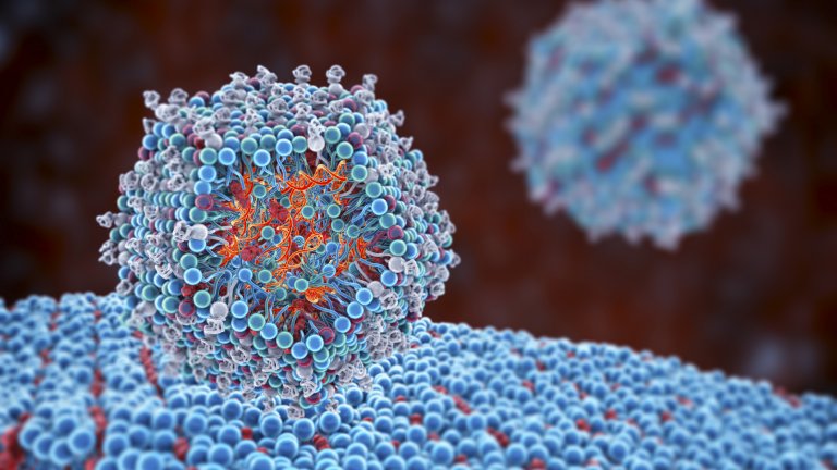 ХИВ бе елиминиран от клетки чрез технология за редактиране на гени в лабораторни условия