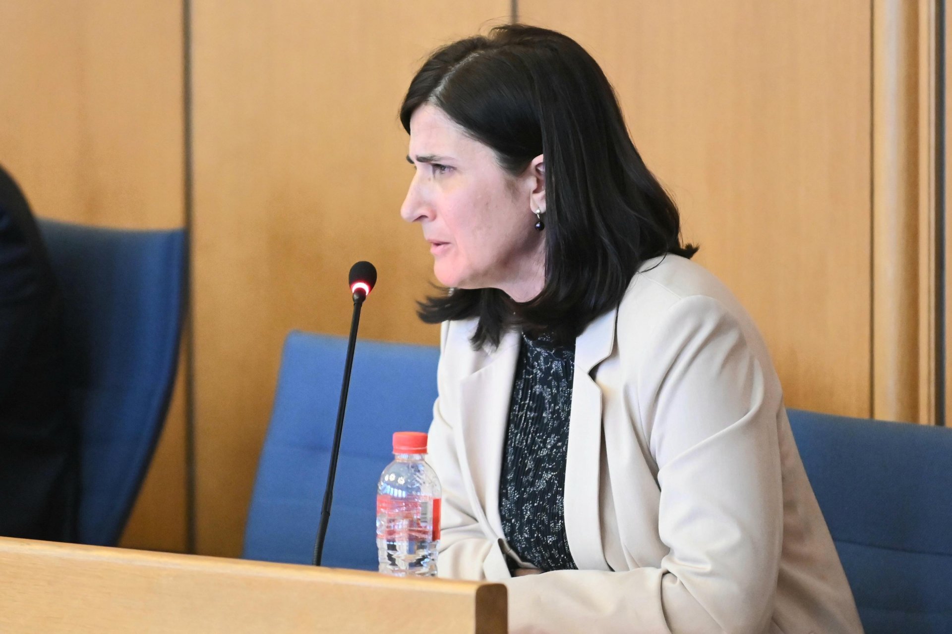 Мариана Тошева, председател на Държавна агенция за бежанците
