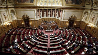 Сенатът горната камара на френския парламент гласува единодушно вчера увеличаване