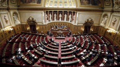 Сенатът горната камара на френския парламент гласува единодушно вчера увеличаване