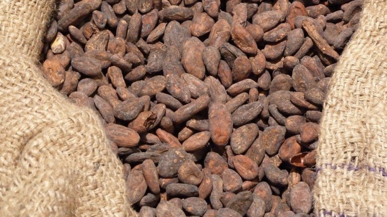 Цената на какаото за пръв път в историята прехвърли 11 000 долара за тон