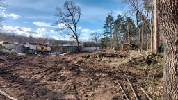 Административният съд потвърди глобата от 100 000 лева за сеч в Борисовата градина