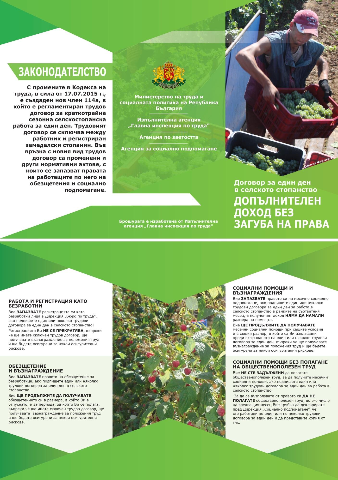 Брошура за еднодневните трудови договори