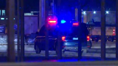 Всички снимки Младият мъж бе екстрадиран от Дания където бе