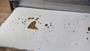 Комисари от Националния орган за защита на потребителите глобиха с