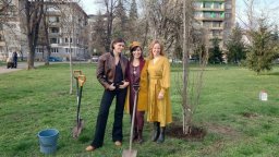 Кметът Васил Терзиев ще засади дърво със звездите на София Филм Фест