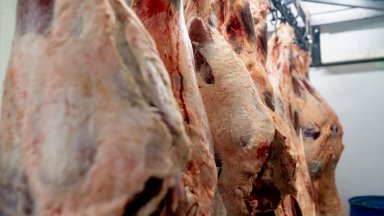 Износът на говеждо месо от Аржентина счупи 50-годишен рекорд 