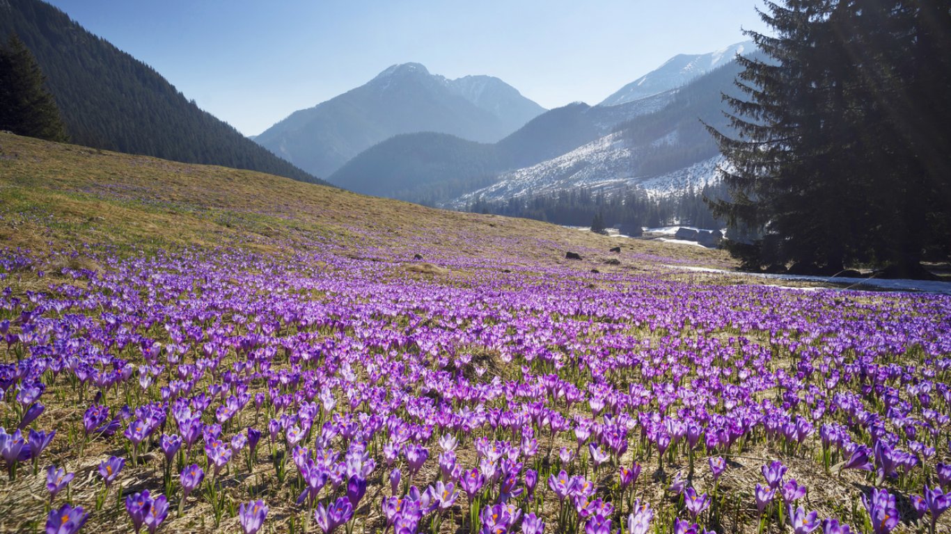 Астрономическата пролет настъпва днес в 16:46 часа