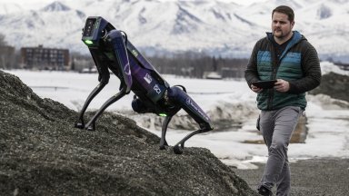Робот, маскиран като лисица, ще гони птици и диви животни от летище в Аляска