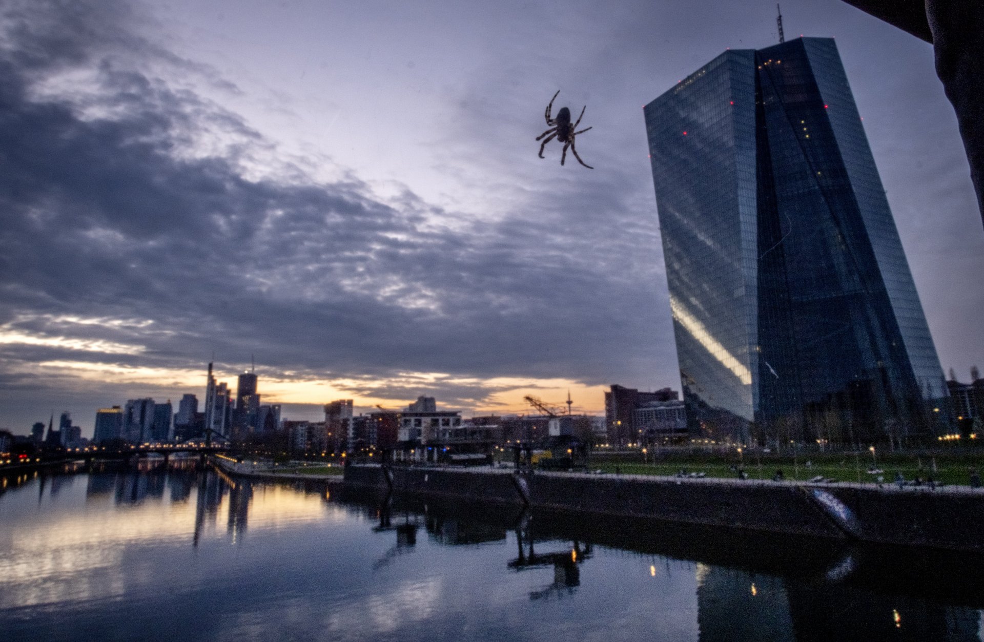 Паяк плете мрежата си на мост над река Майн до сградата на Европейската централна банка (ЕЦБ) във Франкфурт
