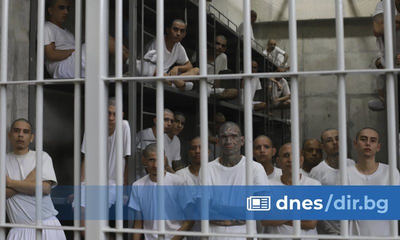 На 27 март 2022 г. Букеле обяви безмилостна война на