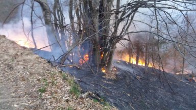 Два големи пожара бушуват край Копривщица (снимки )