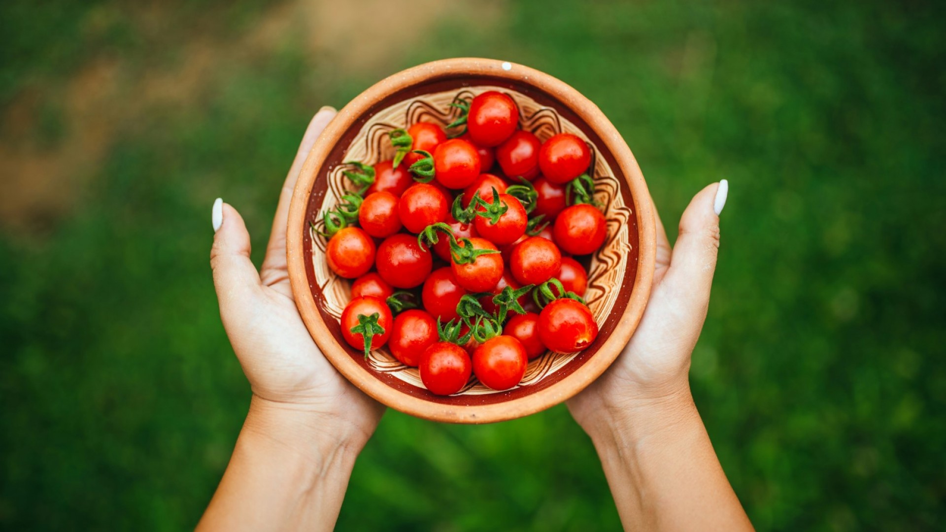 Не бива да режете чери доматите? Ето защо