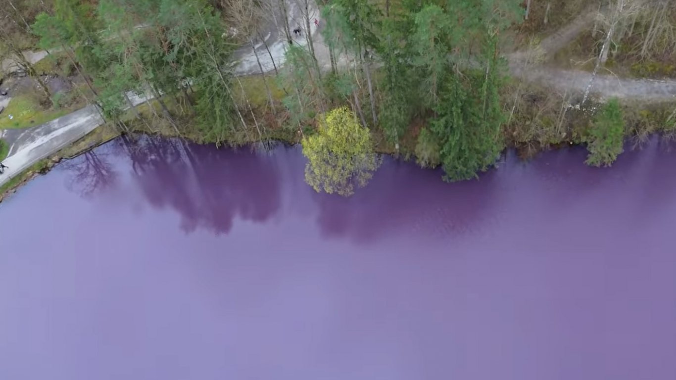 Природен спектакъл в Бавария: Бактерии оцветиха езеро в лилаво (видео)