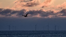 Ето защо Белгия се противопостави на френския план за морски вятърен парк