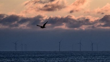 Офшорната вятърна енергия в Европа създава подиндустрия за 20 млрд. долара