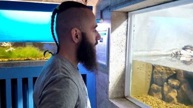 Снимка БТА Друг вид риба която напоследък навлиза през Босфора