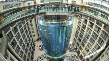 След взрива: Хотел „Радисън“ в Берлин заменя гигантски аквариум с вертикална градина