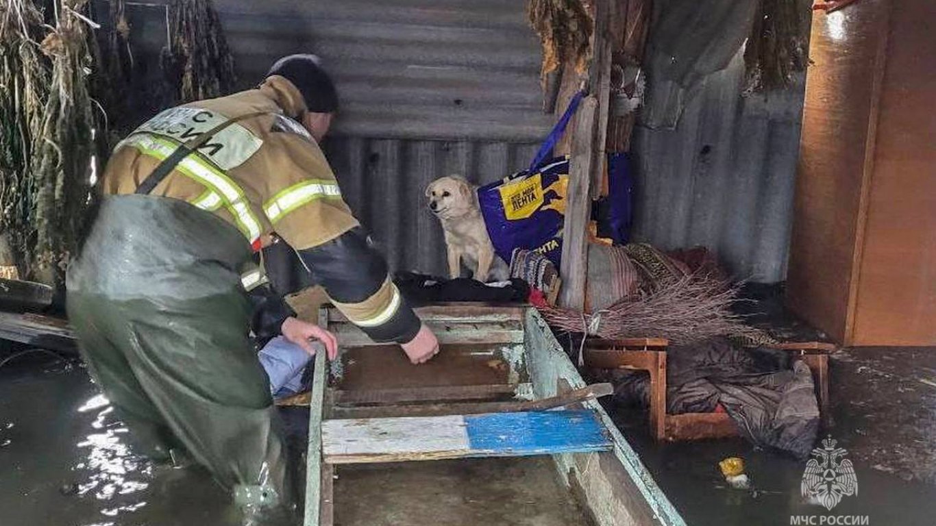 Служител на руското МЧС е спасил куче от потопа в Курганска област