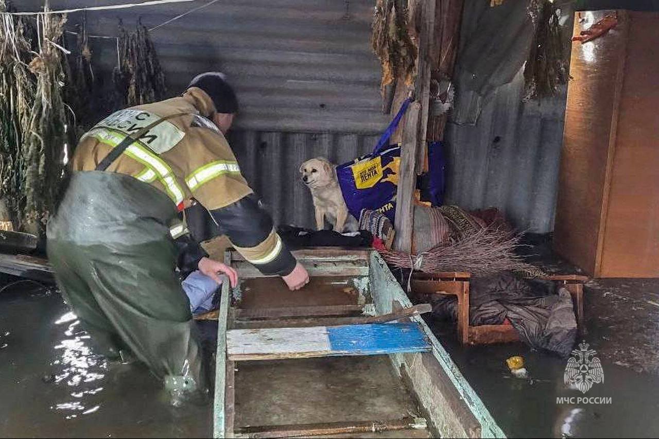 Служител на руското МЧС е спасил куче от потопа в Курганска област