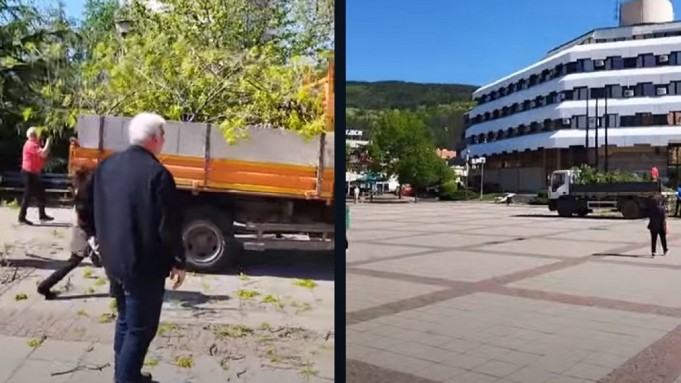 Напрежение в Дупница заради изсечени дървета в центъра, поискаха оставката на кмета 