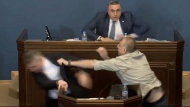Бой в грузинския парламент: Депутат нападна с юмруци свой колега, спряха заседанието (видео)