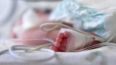 Новороденото бебе постъпва в интензивното неонатологично отделение с хрема кашлица