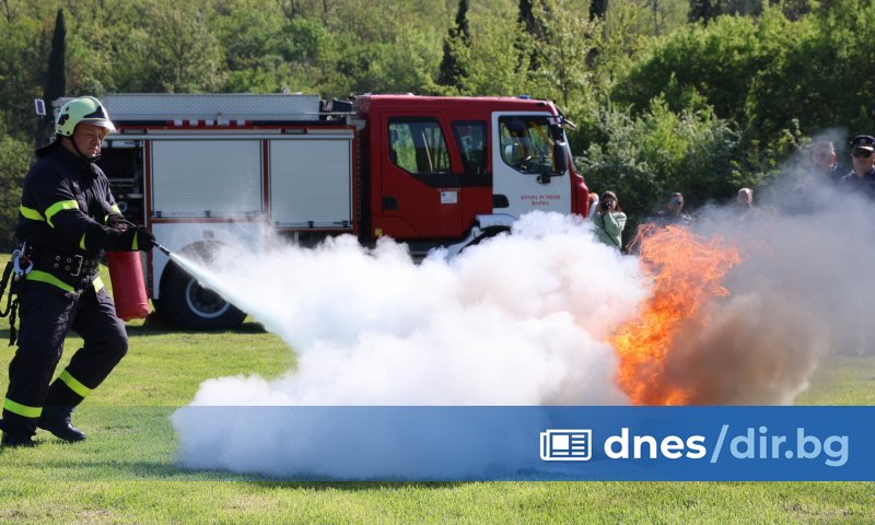 Снимка: БТА По-голямата част от доброволците участва в надпревара в