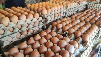 Кафявите яйца ще изчезнат от магазините в Германия. Защо?
