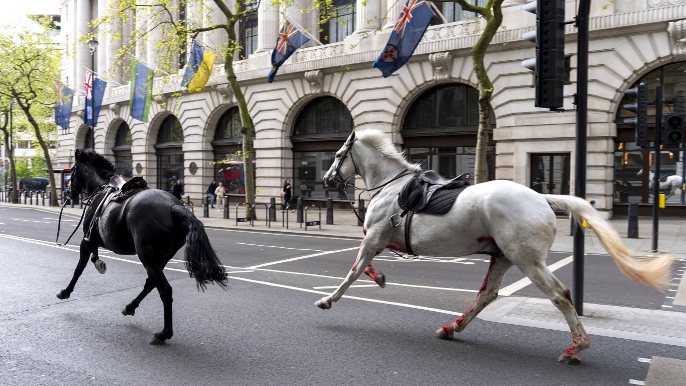 Подплашени гвардейски коне препускаха в центъра на Лондон и раниха четирима (видео)