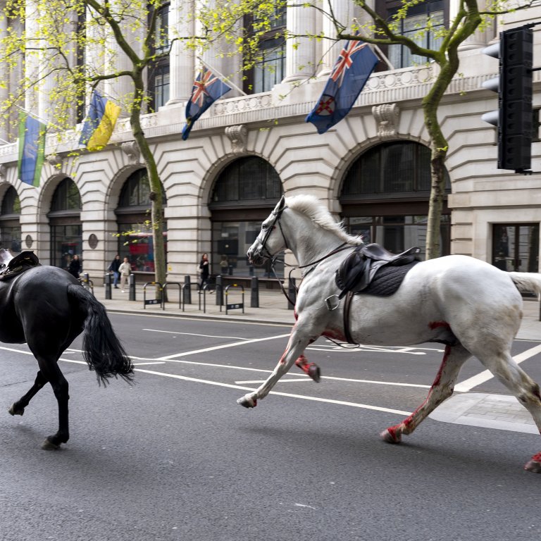 Подплашени гвардейски коне раниха четирима души в центъра на Лондон (видео)
