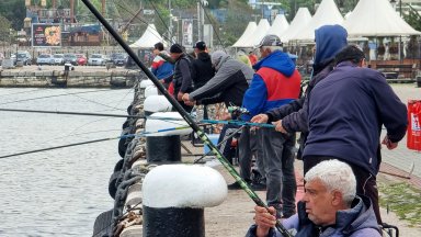 Снимка БТА Сафридът се появява обикновено в края на април