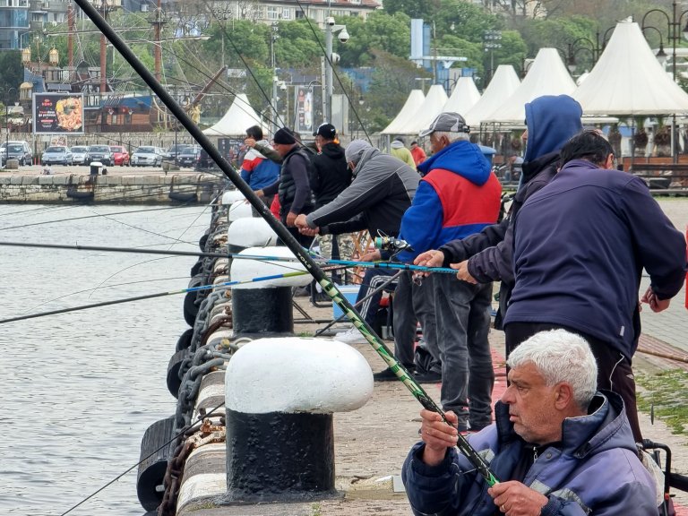 Пролетните пасажи от сафрид напълниха рибарските мрежи във Варна (снимки)