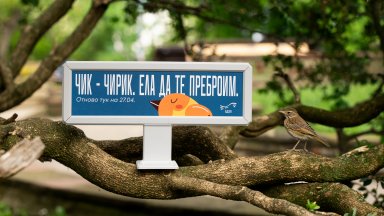 Източник БДЗП Деца и възрастни могат да се включат в