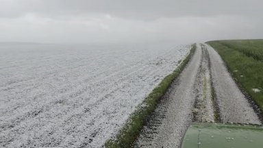 Мощната градушка в Южна България е унищожила хиляди декари земеделска продукция (видео)