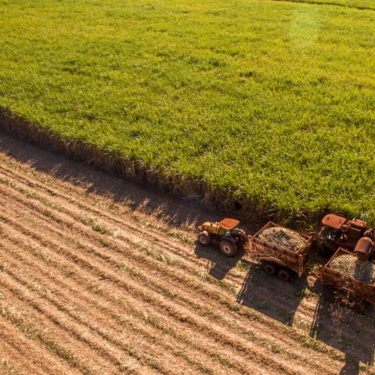ЕК удължи с шест месеца мерките в подкрепа на фермерите, Украйна търси купувачи за захарта си