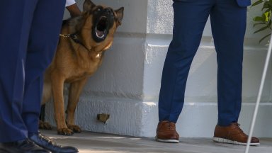 Искането Ноем отправи няколко дни след като тя самата сподели