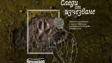 Стартира кампанията “Следи от изчезване”, която цели да запознае обществото със застрашените от изчезване видове в България 