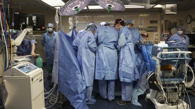Трансплантацията беше извършена на 16 март в Масачузетската обща болница