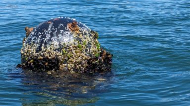 Екипажът на моторен катер с бордови номер 221 забелязва миноподобен