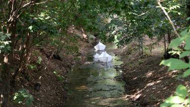 Стойността на дейностите по почистване предвидени в програмата възлиза на